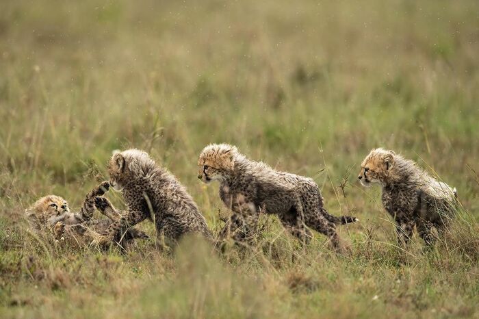 Беззаботное время