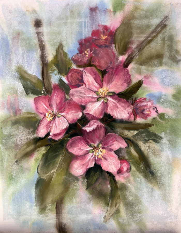 ����� ������ (�������� + �������)