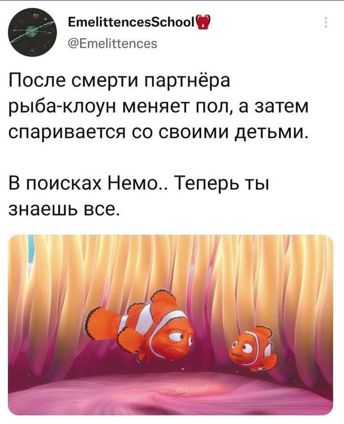 Лучше бы не знать