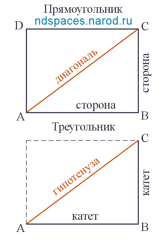 Диагонали треугольной. Диагональ треугольника. Диагональ прямоугольного треугольника. Прямоугольный прямоугольник. Прямоугольный треугольник диа.