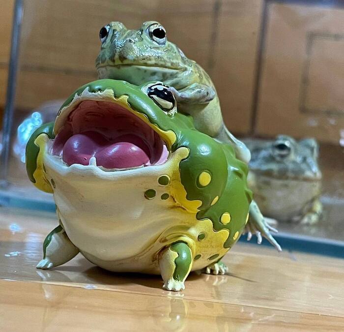 Среда мои чуваки