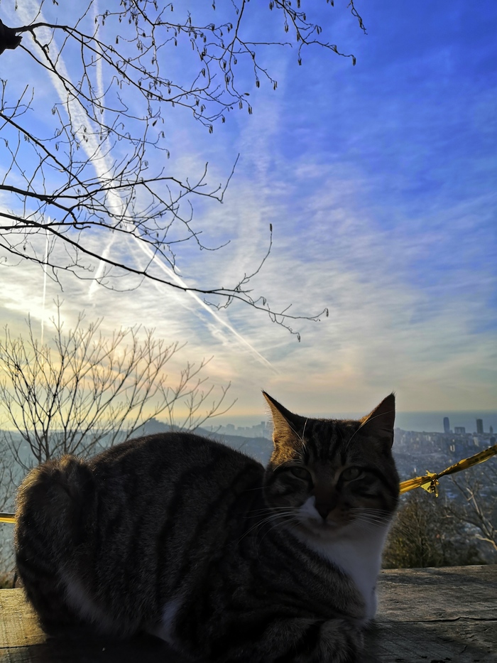 ������ ������������ ������