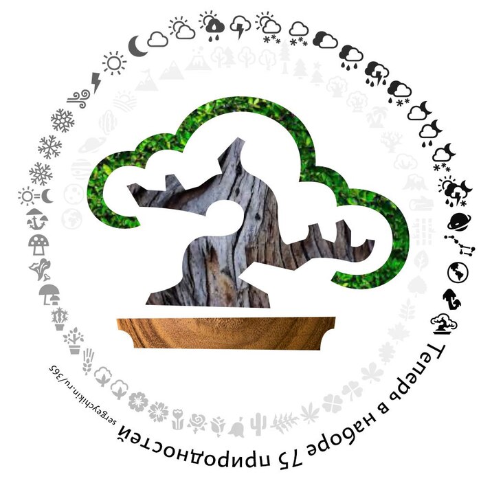 Почти ежедневная иконка — бонсай