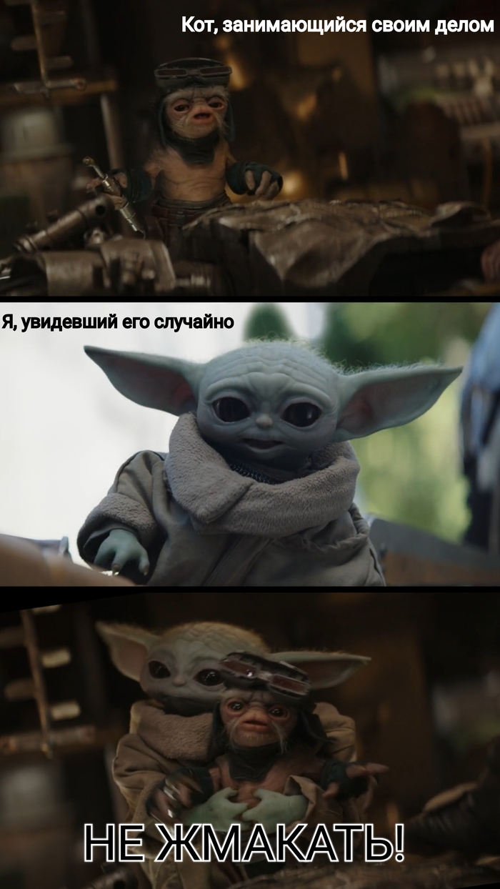 ��, ��� ���������� ��������������