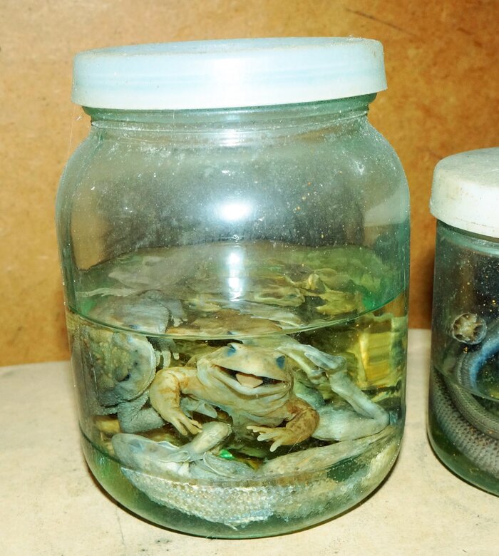 It's Wednesday again, dudes!