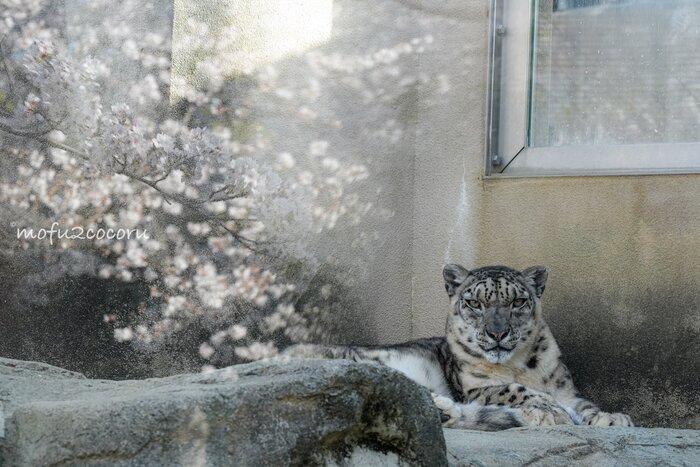 Серьёзность :3