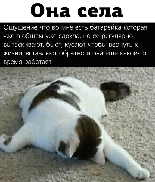 В каждом есть такая батарейка...