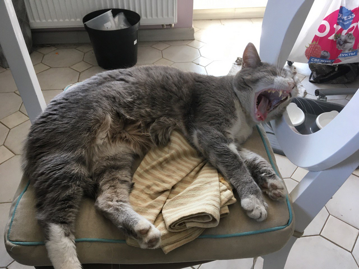 А не спеть ли нам песню а-а-а-а-а-а любви!