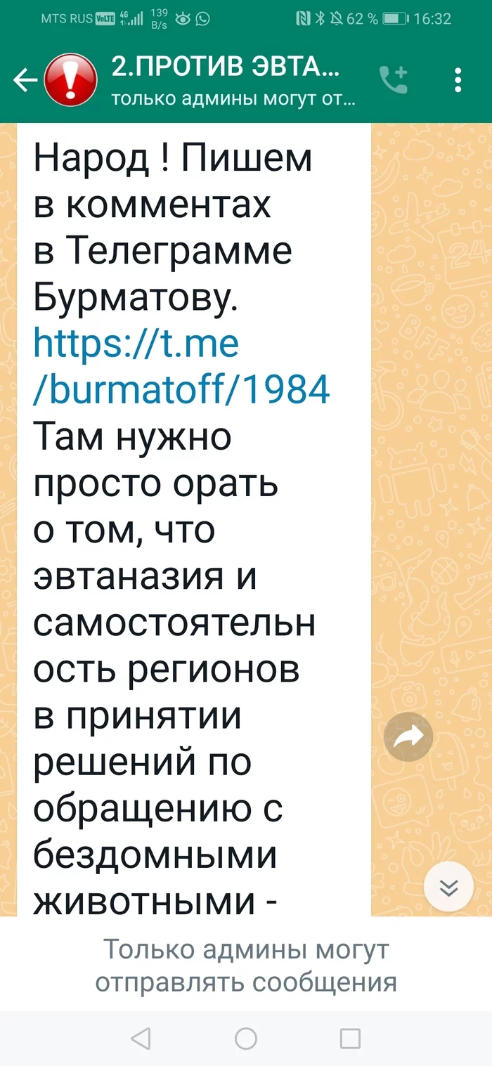 Как зоошиза создает иллюзию народного гнева Эвтаназия, Бродячие собаки, Радикальная зоозащита, Длиннопост