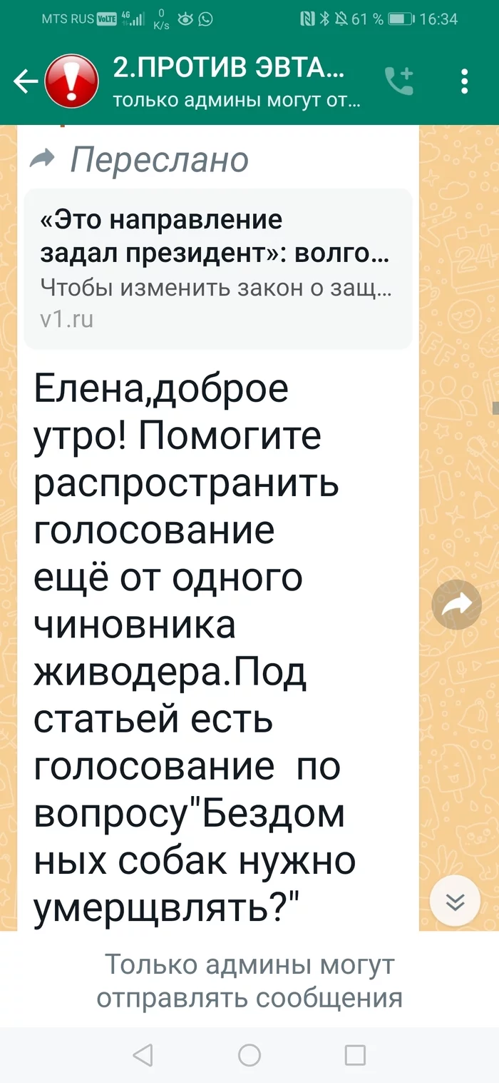 Как зоошиза создает иллюзию народного гнева Эвтаназия, Бродячие собаки, Радикальная зоозащита, Длиннопост