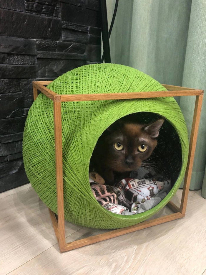 КОТМОСФЕРА | Пикабу