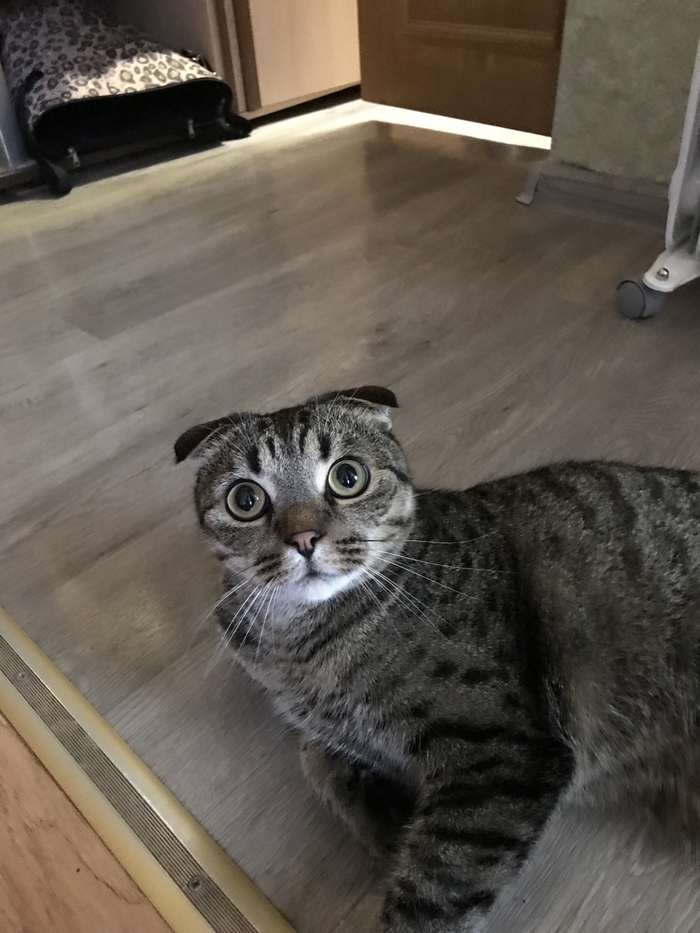  ! , , ,  , 
