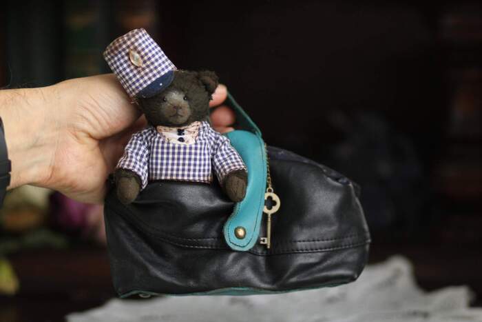 Мишка в саквояже