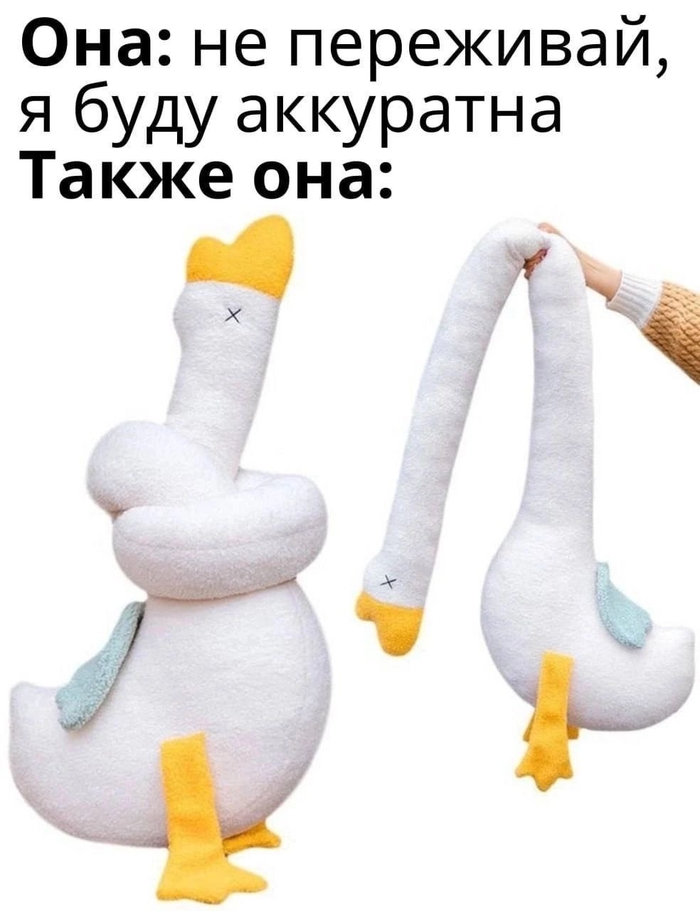 Задушила гуся | Пикабу