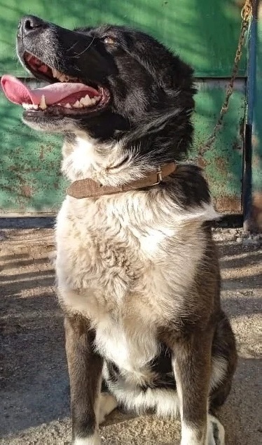 ���������� �����, �������!