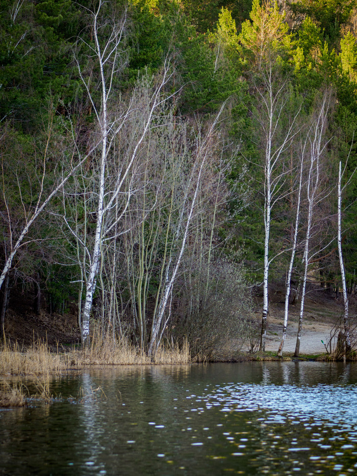 Весенним субботним вечером
