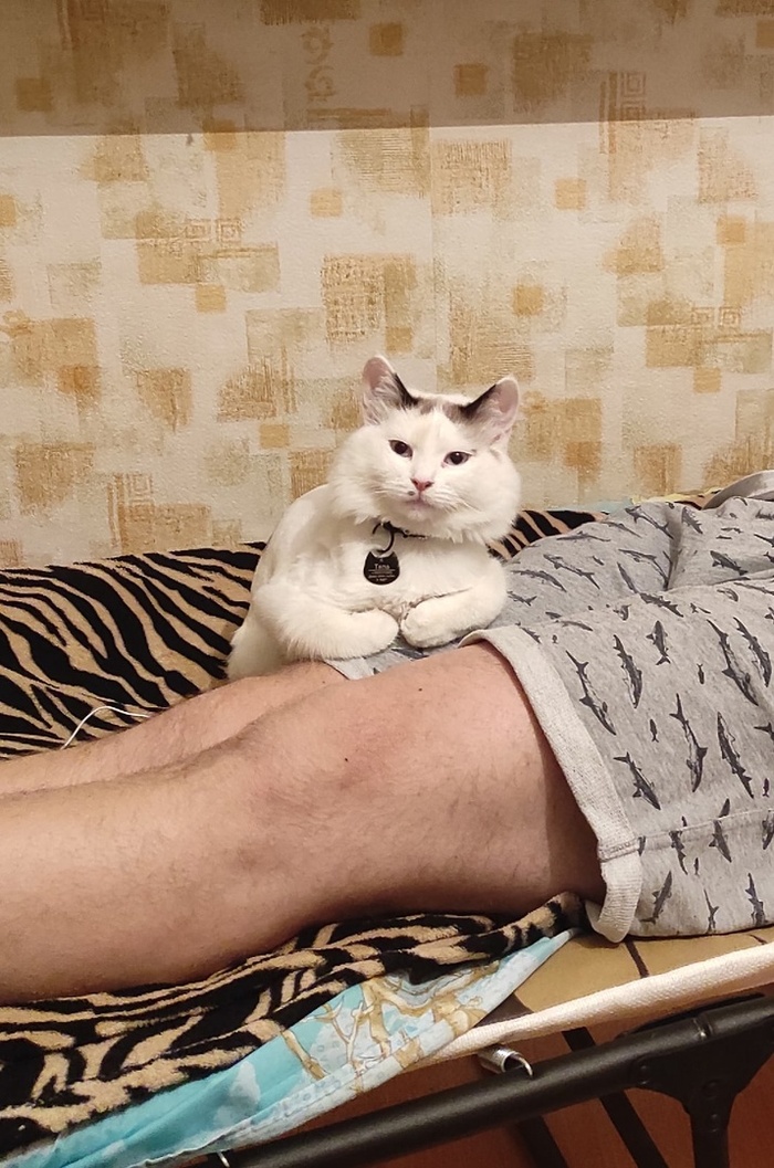 Тяпа | Пикабу