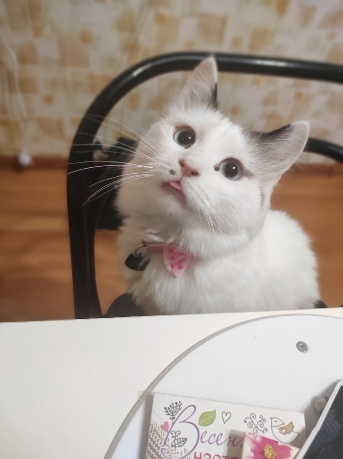 Тяпа | Пикабу