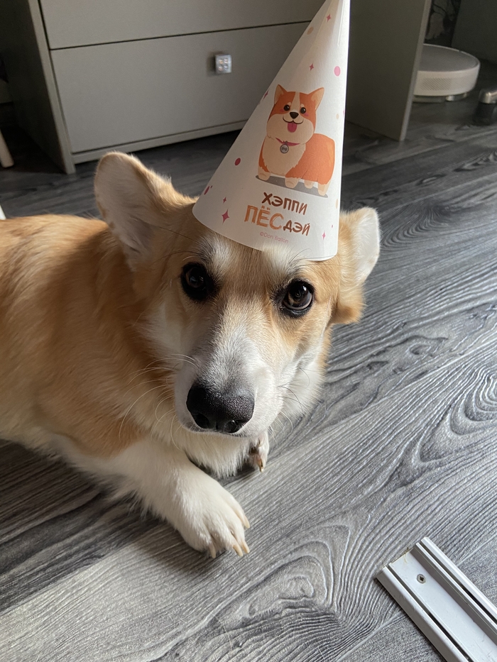 ����� ����� 1 ���