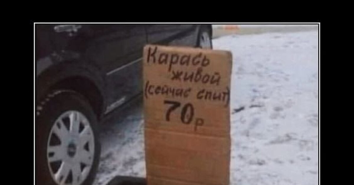 Мемы | Пикабу