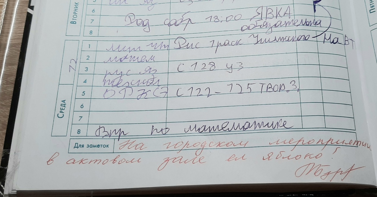 Школа это дневники танец видео. Журнал для учителя для оценок. Кол оценка в дневнике. Ориентирующие замечания учителя.