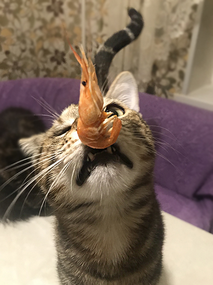   ?    ! ,  , , 