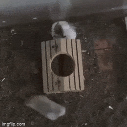       , , , 
