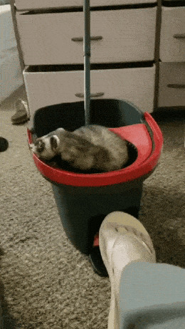       , , , 