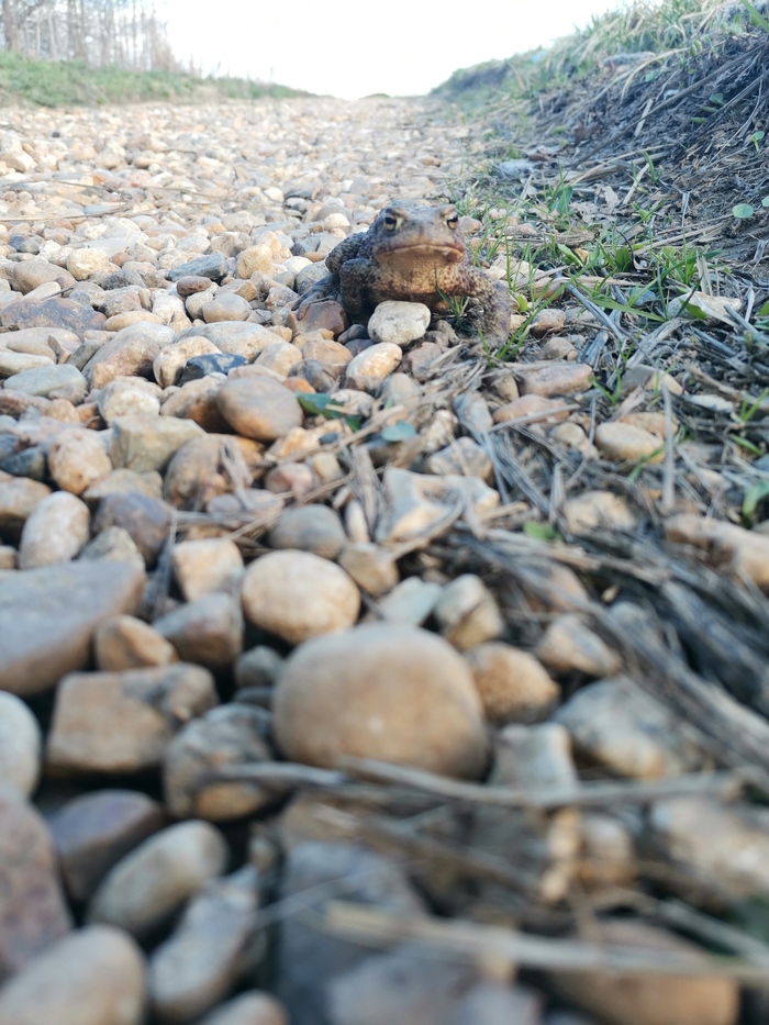 ��� ����)