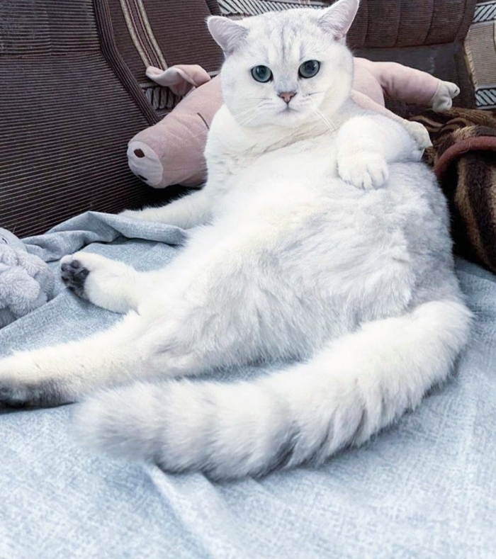 �� � ��� ��� ������ � ����?