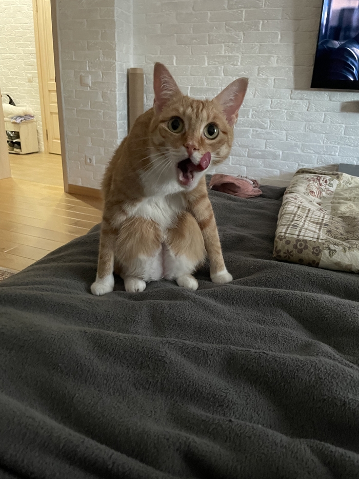 ����� ����� ������� ��������