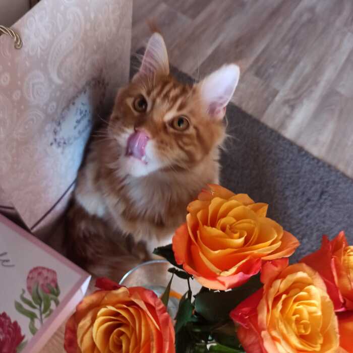        , -, , ,  