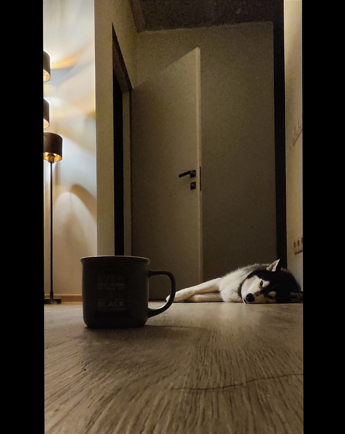        ,      - " ,  " ,  ,  