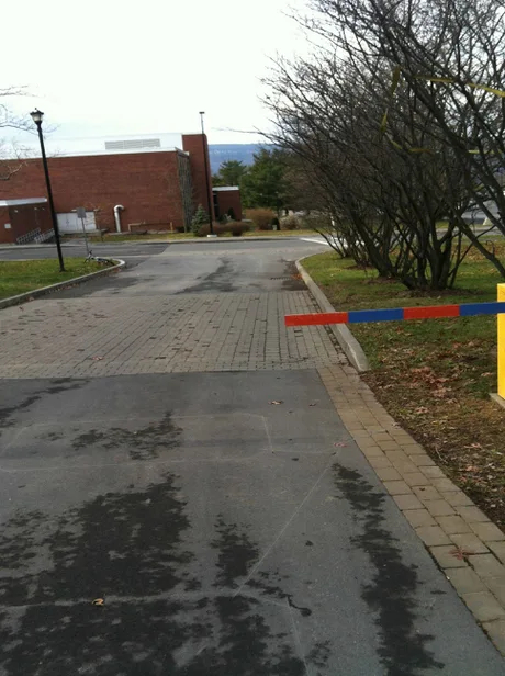 ��� ���������� ����� �������� ������� � ������� �� �������� ��������