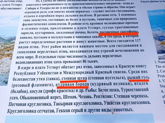 Поездка к остаткам Аральского моря Путешествия, Фотография, Узбекистан, Каракалпакстан, Аральское море, Пустыня, Море, Видео, Вертикальное видео, Длиннопост