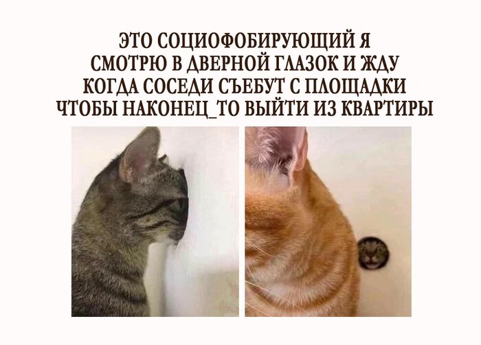 Социофобия | Пикабу