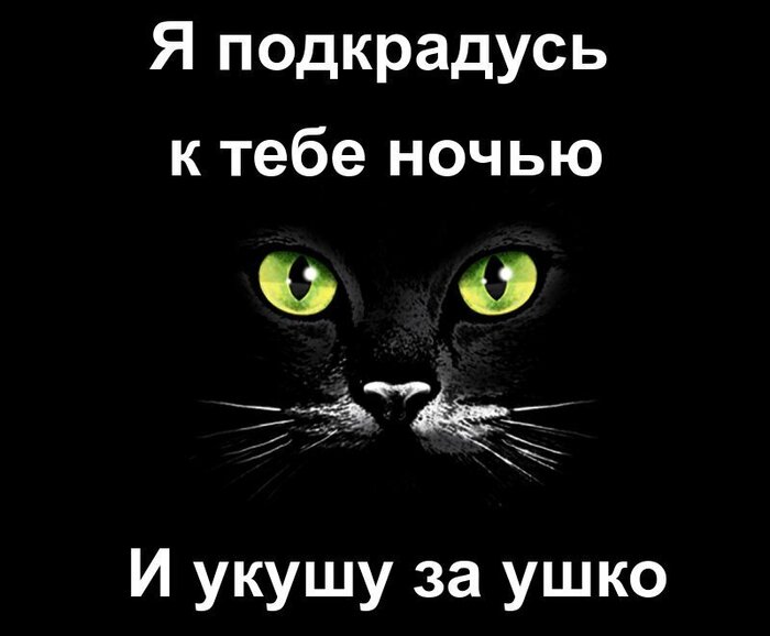 ������ ���� �� �������