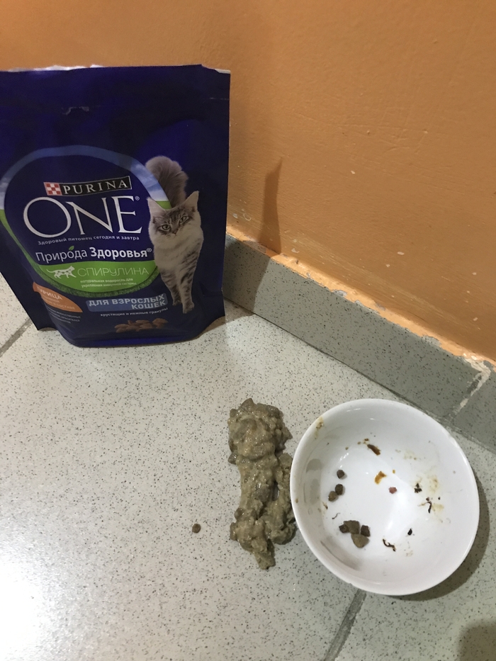 Чем кормить кота | Пикабу