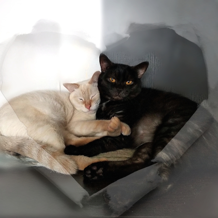 Наверно это любовь