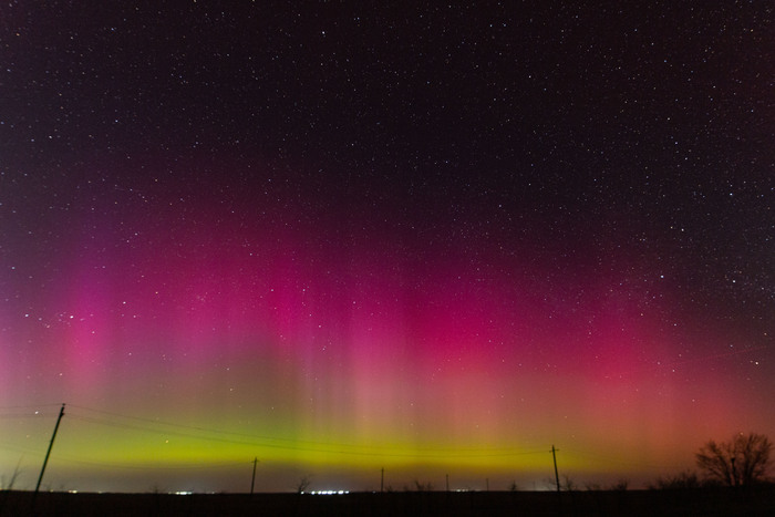     24  2023 .      ,    - .