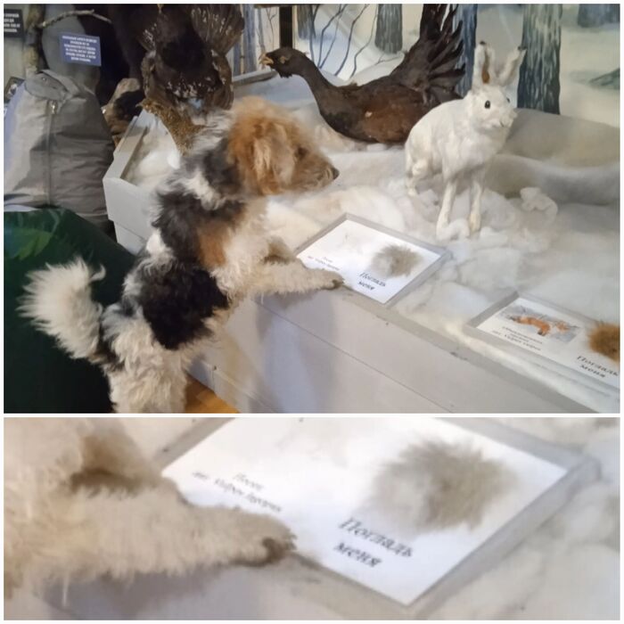 ϸ� ������ � ������������� �����