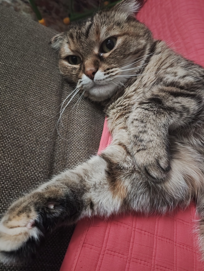 Эй братан поворачивай к черту!