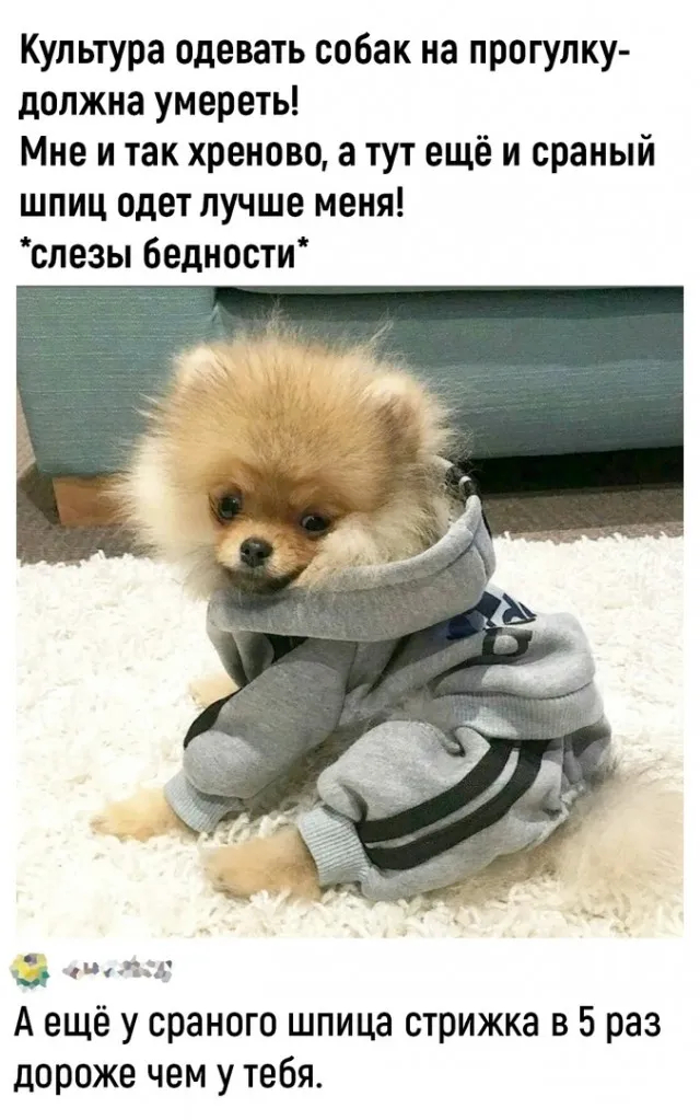  , , , ,   , , , 