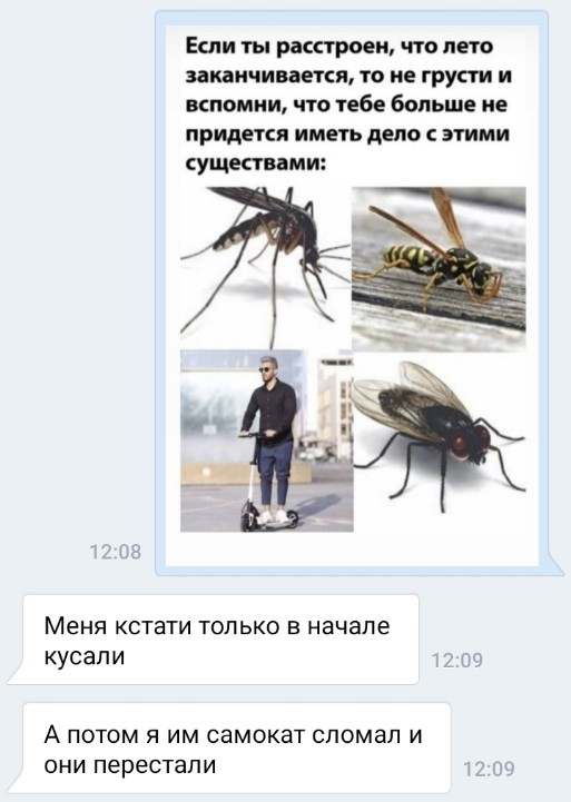 ������� ��������