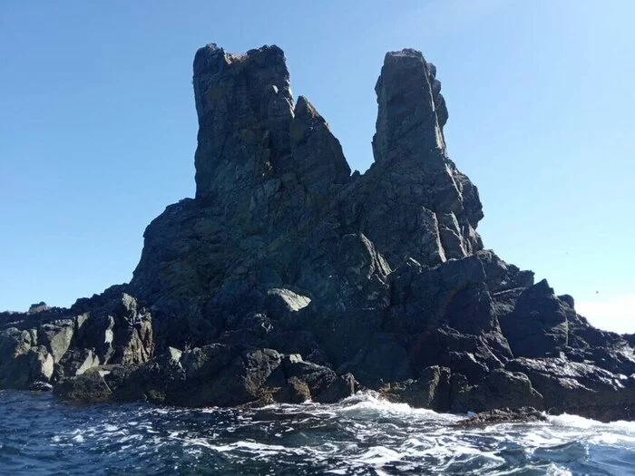 Таинственный остров Приморский край, Остров, Маяк, Фототур, Пятнистые олени, Скалы, Длиннопост, Фотография, Залив Петра Великого Таинственный остров Приморский край, Остров, Маяк, Фототур, Пятнистые олени, Скалы, Длиннопост, Фотография, Залив Петра Великого