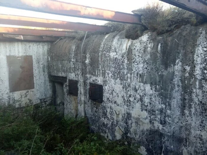 Таинственный остров Приморский край, Остров, Маяк, Фототур, Пятнистые олени, Скалы, Длиннопост, Фотография, Залив Петра Великого Таинственный остров Приморский край, Остров, Маяк, Фототур, Пятнистые олени, Скалы, Длиннопост, Фотография, Залив Петра Великого