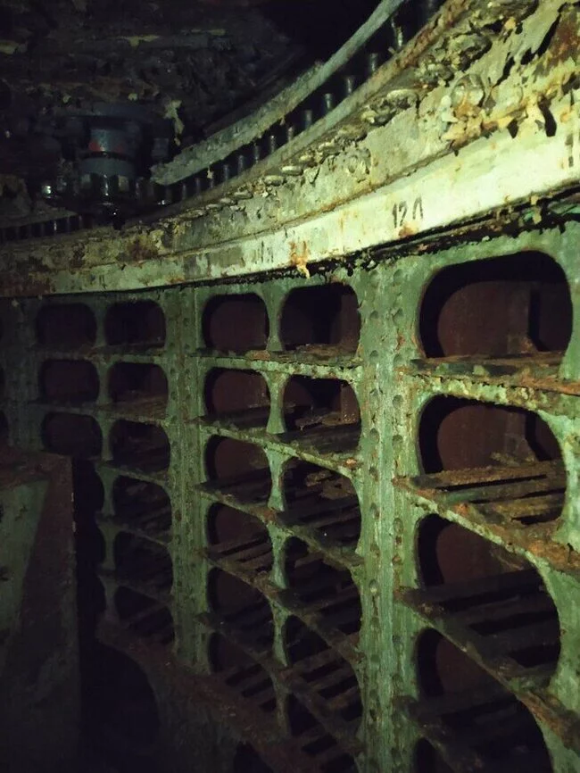 Таинственный остров Приморский край, Остров, Маяк, Фототур, Пятнистые олени, Скалы, Длиннопост, Фотография, Залив Петра Великого Таинственный остров Приморский край, Остров, Маяк, Фототур, Пятнистые олени, Скалы, Длиннопост, Фотография, Залив Петра Великого