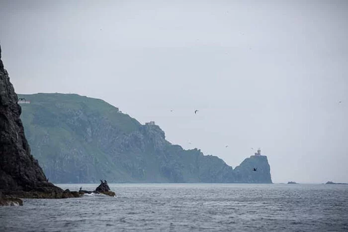 Таинственный остров Приморский край, Остров, Маяк, Фототур, Пятнистые олени, Скалы, Длиннопост, Фотография, Залив Петра Великого Таинственный остров Приморский край, Остров, Маяк, Фототур, Пятнистые олени, Скалы, Длиннопост, Фотография, Залив Петра Великого
