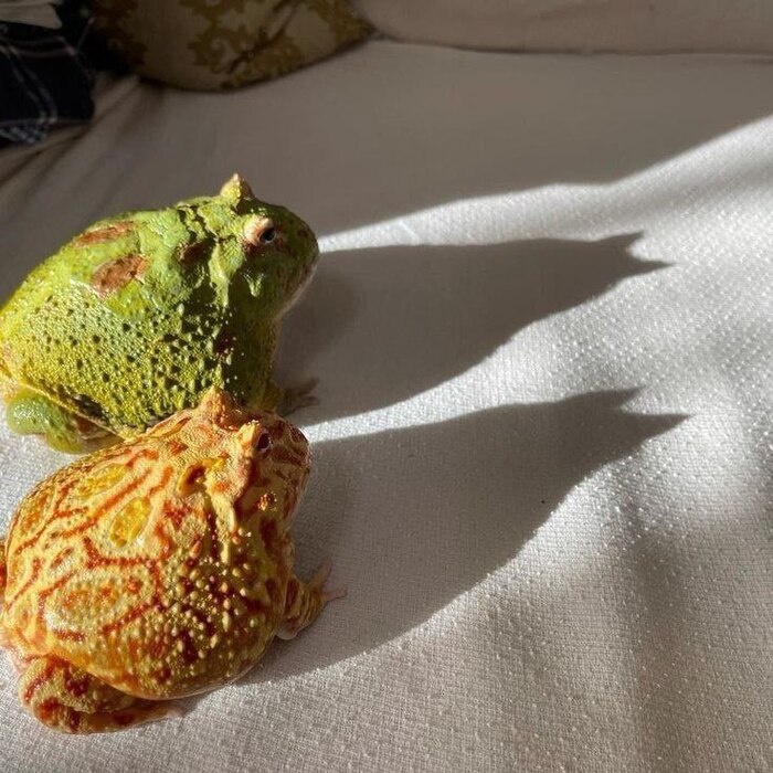 Этому городу нужны новые герои