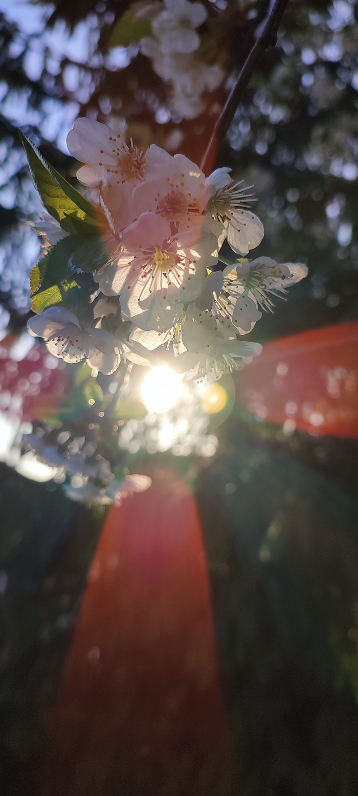 ������ ������ �� ������